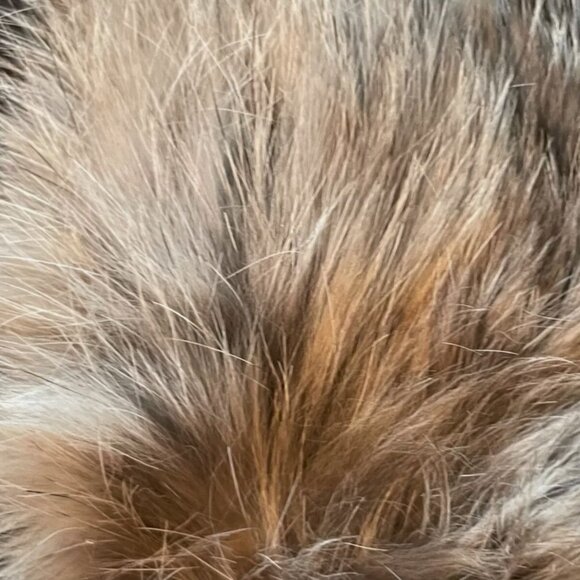 Fur trapper hat! Saks Fifth Avenue - Picture 4 of 6